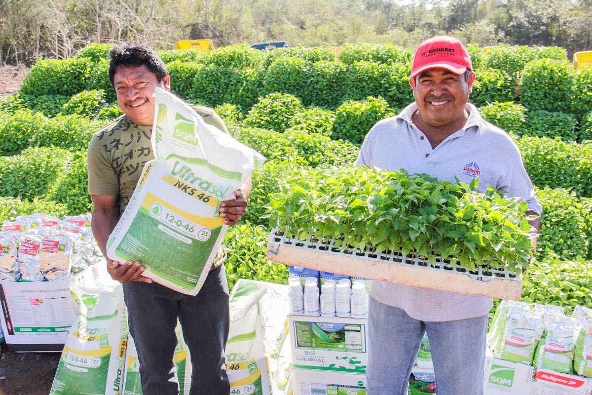 Productores de chile reciben apoyos